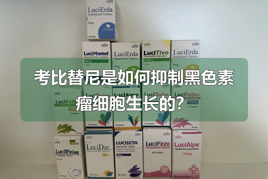 考比替尼是如何抑制黑色素瘤细胞生长的?